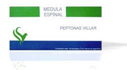 MEDULA ESPINAL